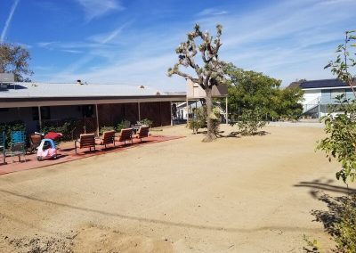 Affordable Landscaping Contractor