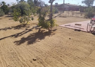 Affordable Landscaping Service Contractor