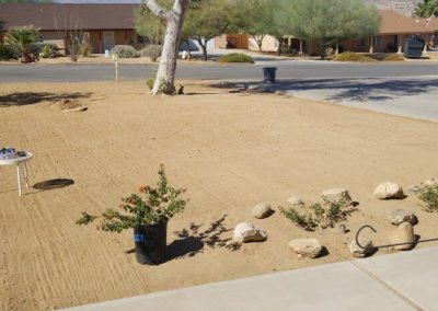 Impeccable Landscaping Service Contractor