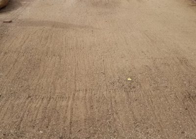 Local Landscaping Contractor