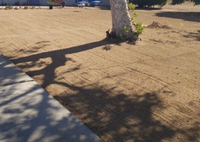 Local Landscaping Service Contractor