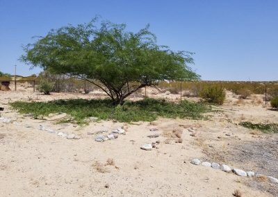 Professional Landscaping Service Contractor