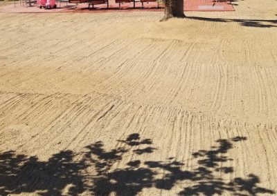 Quality Landscaping Contractor