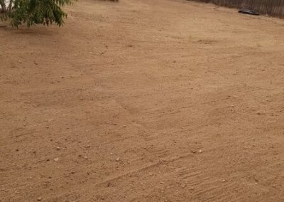 Quality Landscaping Service Contractor