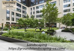 Landscaping in Yucca Valley, CA Commercial Landscaping