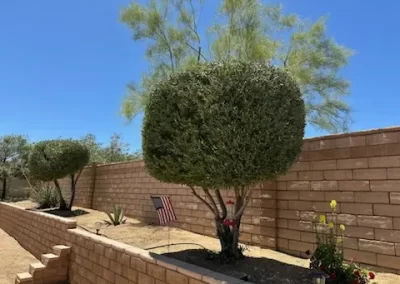 Exceptional Landscaping Services