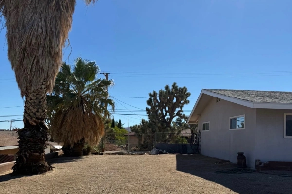 Residential & Commercial Landscaping Services