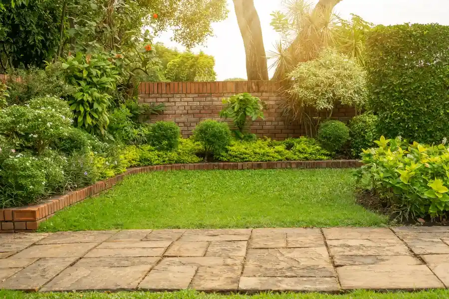 Common Lawn Issues Solved Through Regular Maintenance in Yucca Valley, CA Common Lawn Issues Solved Through Regular Maintenance in Yucca Valley, CA