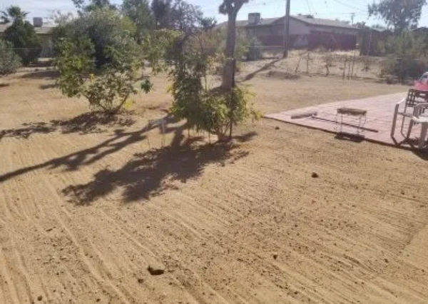 Desert Landscaping