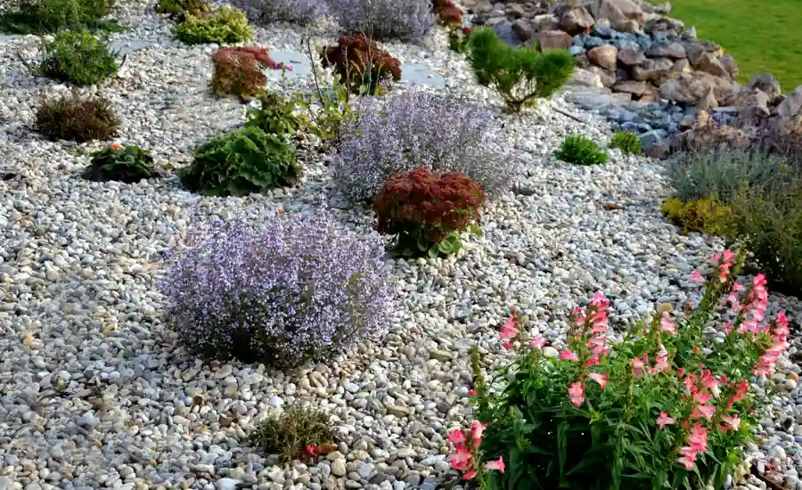 Excellent Lawn Maintenance Service in Yucca Valley, CA Excellent Lawn Maintenance Service in Yucca Valley, CA