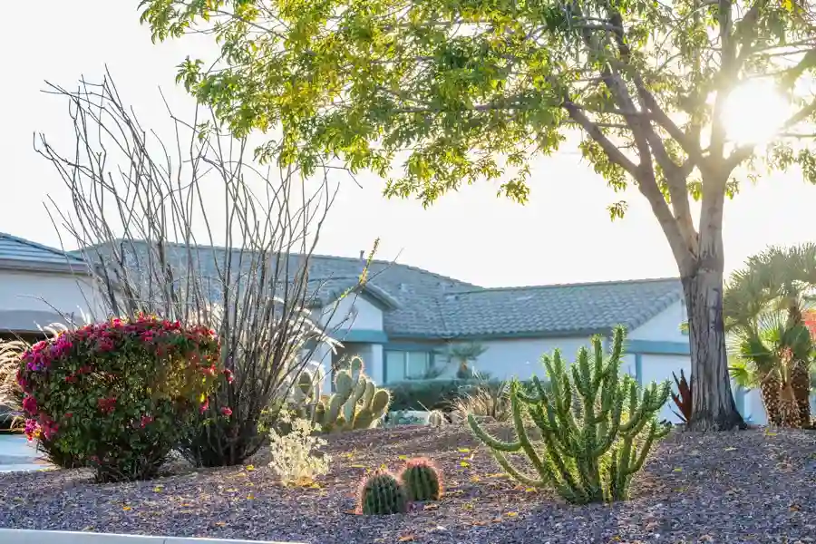 Experienced Lawn Maintenance Service in Yucca Valley, CA Experienced Lawn Maintenance Service in Yucca Valley, CA