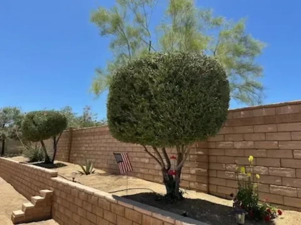 Grounds Landscaping's Other Services