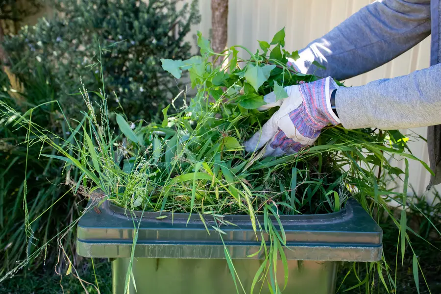 How Weed Removal Service Supports Long Term Lawn Care Yucca Valley, CA How Weed Removal Service Supports Long Term Lawn Care Yucca Valley, CA