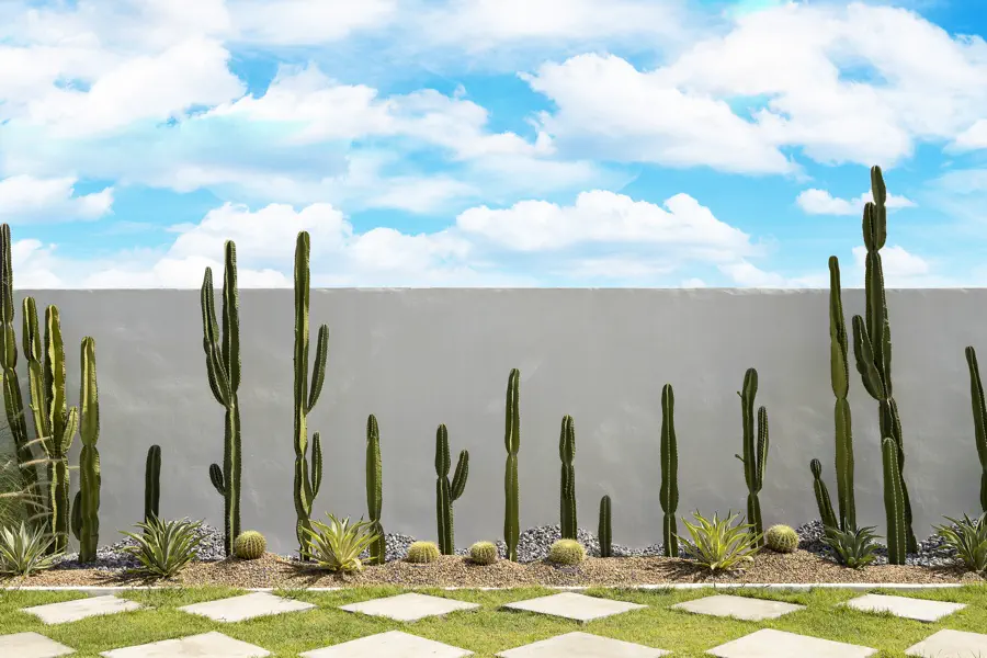 How to Maintain A Desert Landscaping Yard Properly in Yucca Valley, CA How to Maintain A Desert Landscaping Yard Properly in Yucca Valley, CA