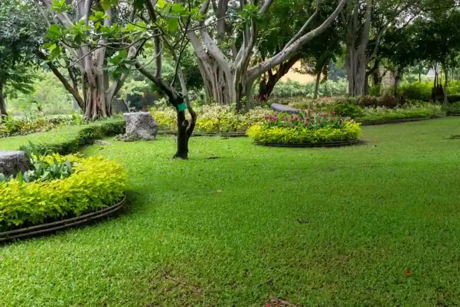 Local Landscape Maintenance Yucca Valley, CA Local Landscape Maintenance Yucca Valley, CA