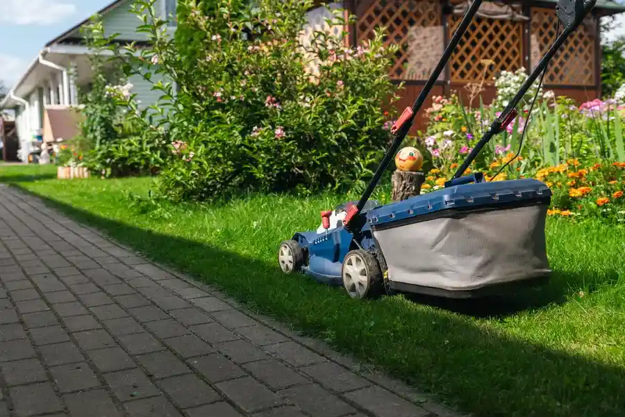 Premium Landscape Maintenance Yucca Valley, CA Premium Landscape Maintenance Yucca Valley, CA
