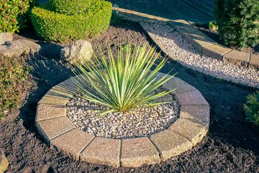 Reliable Lawn Maintenance Service in Yucca Valley, CA Reliable Lawn Maintenance Service in Yucca Valley, CA