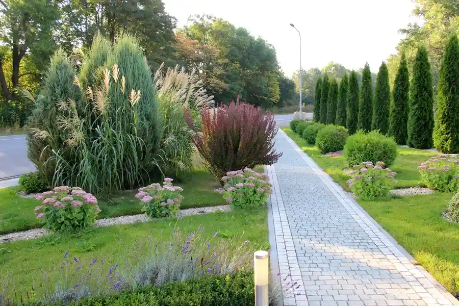 Reputable Landscape Maintenance Yucca Valley, CA Reputable Landscape Maintenance Yucca Valley, CA