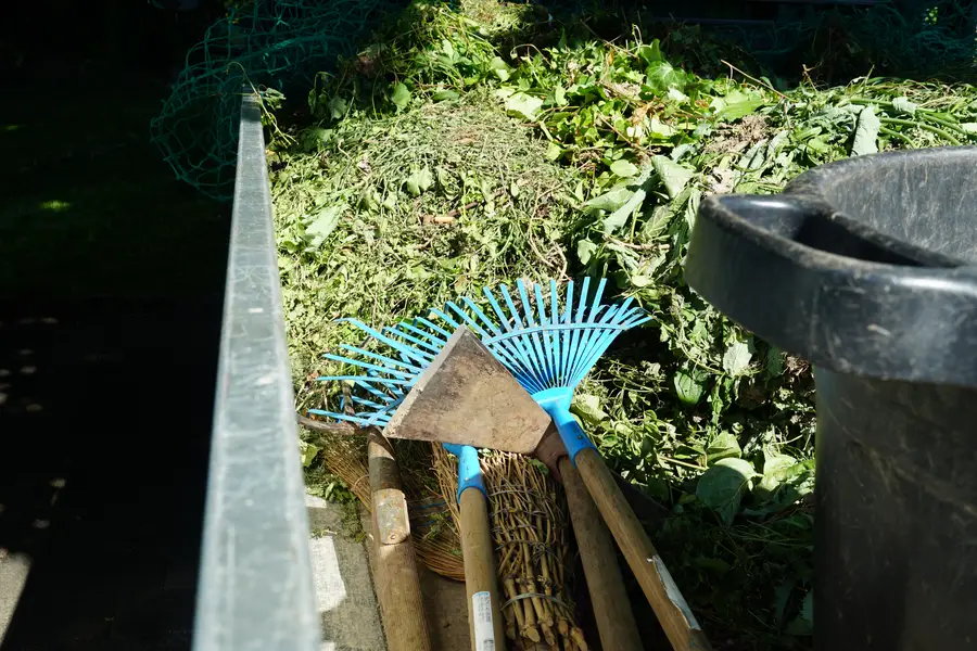 The Role Of Weed Removal Service In Maintaining Soil Quality Yucca Valley, CA The Role Of Weed Removal Service In Maintaining Soil Quality Yucca Valley, CA