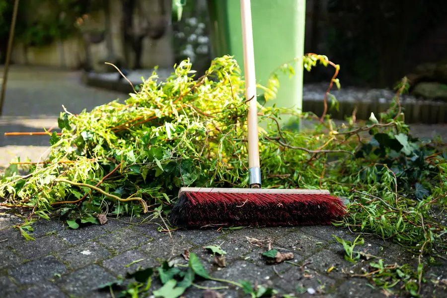 The Role Of Weed Removal Service In Maintaining Soil Quality in Yucca Valley, CA The Role Of Weed Removal Service In Maintaining Soil Quality in Yucca Valley, CA
