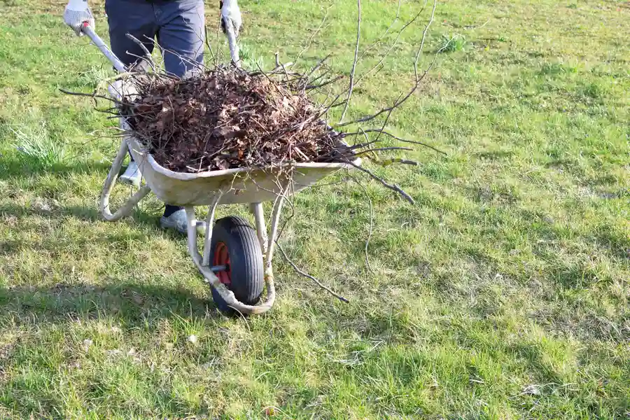 Yard Cleanup And Soil Health Preparation Yucca Valley, CA Yard Cleanup And Soil Health Preparation Yucca Valley, CA