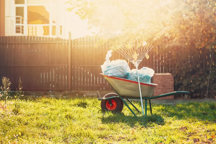 Yard Cleanup And Soil Health Preparation in Yucca Valley, CA Yard Cleanup And Soil Health Preparation in Yucca Valley, CA